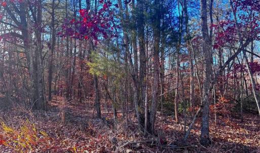 Photo #11 of MAIN UNO BAPTIST CHURCH LN, ROCHELLE, VA 4.2 acres