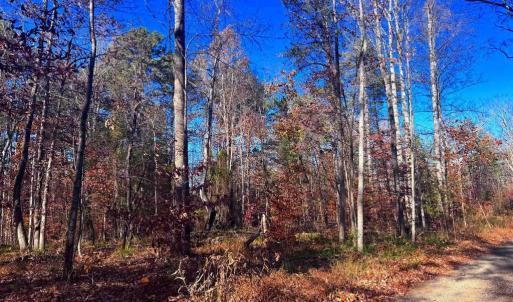 Photo #12 of MAIN UNO BAPTIST CHURCH LN, ROCHELLE, VA 4.2 acres