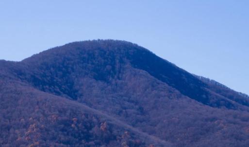 Photo #11 of 38 BEAR WALLOW RD, HUNTLY, VA 13.9 acres