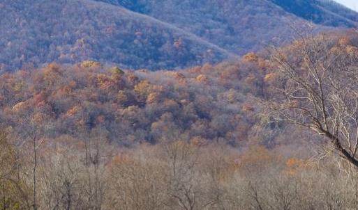 Photo #14 of 38 BEAR WALLOW RD, HUNTLY, VA 13.9 acres