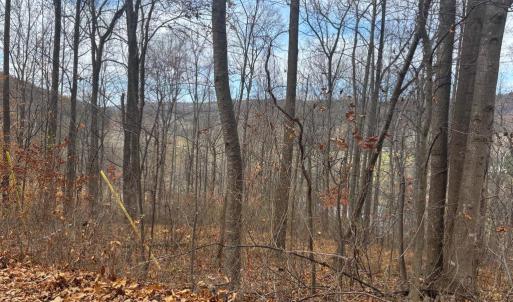Photo #17 of FIERY RUN RD, LINDEN, VA 37.6 acres