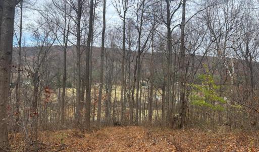 Photo #18 of FIERY RUN RD, LINDEN, VA 37.6 acres