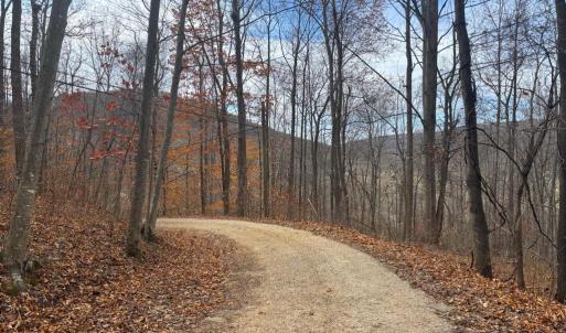 Photo #19 of FIERY RUN RD, LINDEN, VA 37.6 acres