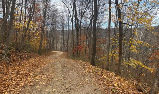 Photo #20 of FIERY RUN RD, LINDEN, VA 37.6 acres