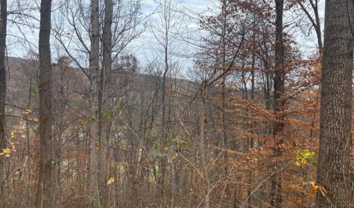 Photo #21 of FIERY RUN RD, LINDEN, VA 37.6 acres