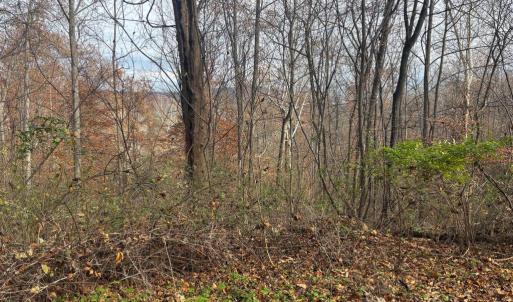 Photo #22 of FIERY RUN RD, LINDEN, VA 37.6 acres