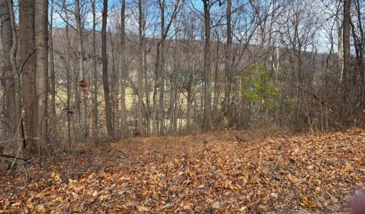 Photo #23 of FIERY RUN RD, LINDEN, VA 37.6 acres