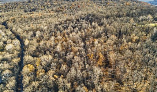 Photo #13 of FIERY RUN RD, LINDEN, VA 37.6 acres