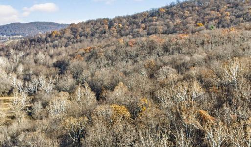 Photo #16 of FIERY RUN RD, LINDEN, VA 37.6 acres