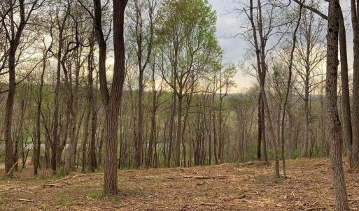 Photo #1 of WINCHESTER ROAD, DELAPLANE, VA 2.1 acres