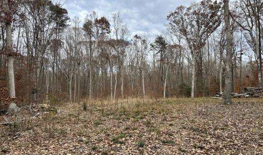 Photo #3 of 14409 SPOTSWOOD FURNACE RD, FREDERICKSBURG, VA 5.0 acres