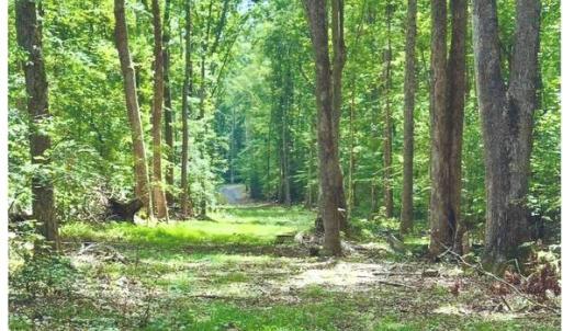 Photo #2 of 14409 SPOTSWOOD FURNACE RD, FREDERICKSBURG, VA 5.0 acres