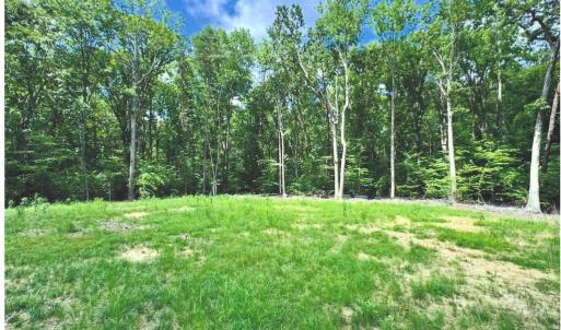 Photo #4 of 14409 SPOTSWOOD FURNACE RD, FREDERICKSBURG, VA 5.0 acres