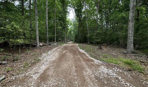 Photo #15 of 14409 SPOTSWOOD FURNACE RD, FREDERICKSBURG, VA 5.0 acres