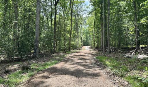 Photo #13 of 14409 SPOTSWOOD FURNACE RD, FREDERICKSBURG, VA 5.0 acres