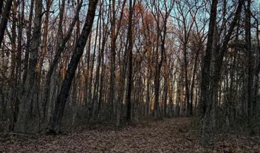 Photo #1 of ROBERTS LANE LN, RIXEYVILLE, VA 10.0 acres