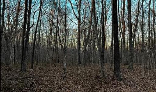 Photo #2 of ROBERTS LANE LN, RIXEYVILLE, VA 10.0 acres