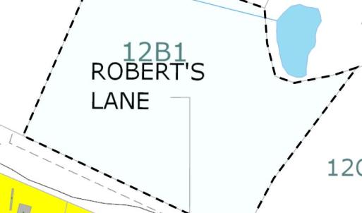 Photo #2 of ROBERTS LANE LN, RIXEYVILLE, VA 10.0 acres