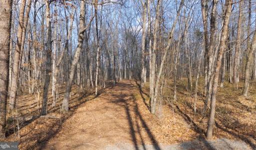 Photo #3 of ROBERTS LANE LN, RIXEYVILLE, VA 10.0 acres