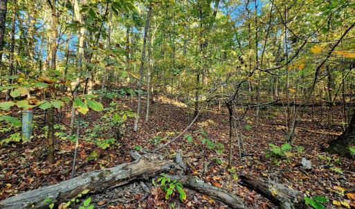 Photo #7 of ERNEST ROBINSON ROAD, MARSHALL, VA 5.6 acres