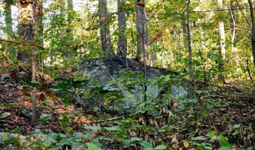 Photo #11 of ERNEST ROBINSON ROAD, MARSHALL, VA 5.6 acres