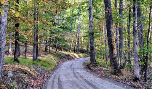 Photo #14 of ERNEST ROBINSON ROAD, MARSHALL, VA 5.6 acres