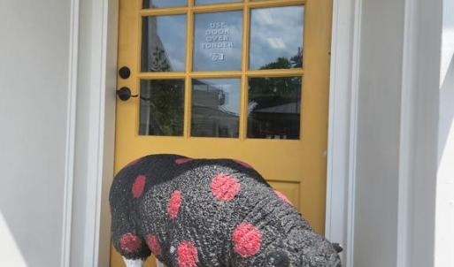 Photo #24 of ERNEST ROBINSON ROAD, MARSHALL, VA 5.6 acres