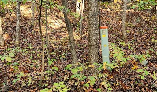 Photo #6 of ERNEST ROBINSON ROAD, MARSHALL, VA 5.6 acres