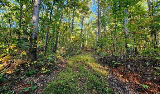 Photo #10 of ERNEST ROBINSON ROAD, MARSHALL, VA 5.6 acres