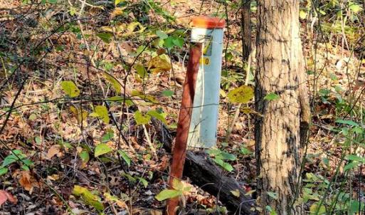 Photo #12 of ERNEST ROBINSON ROAD, MARSHALL, VA 5.6 acres