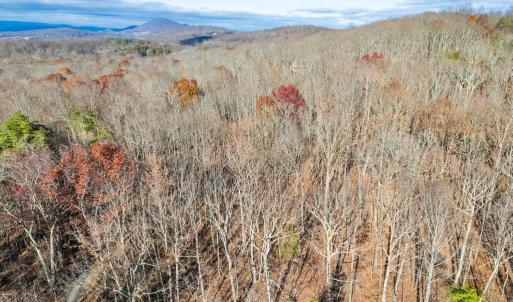 Photo #2 of ERNEST ROBINSON ROAD, MARSHALL, VA 5.6 acres