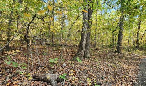 Photo #8 of ERNEST ROBINSON ROAD, MARSHALL, VA 5.6 acres