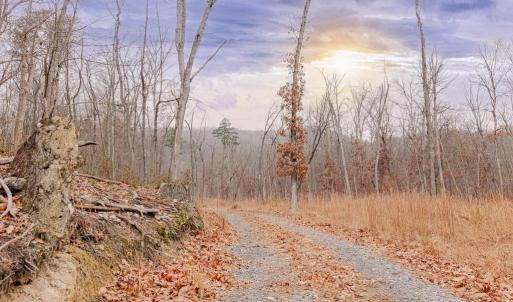 Photo #1 of GALLOWAY SPRING LN, STANLEY, VA 32.0 acres