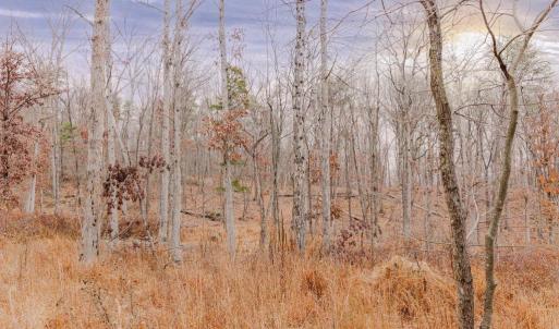 Photo #2 of GALLOWAY SPRING LN, STANLEY, VA 32.0 acres