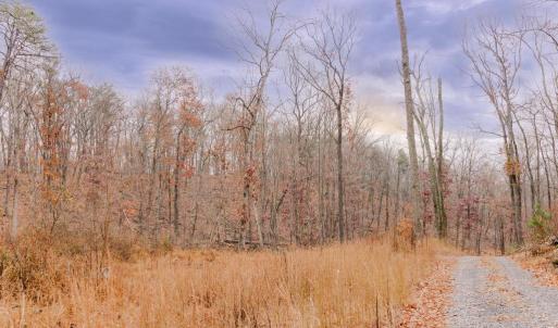 Photo #4 of GALLOWAY SPRING LN, STANLEY, VA 32.0 acres