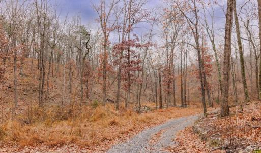 Photo #6 of GALLOWAY SPRING LN, STANLEY, VA 32.0 acres