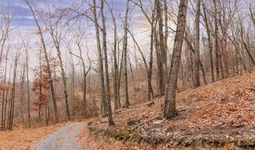 Photo #7 of GALLOWAY SPRING LN, STANLEY, VA 32.0 acres