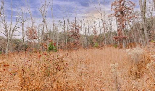 Photo #8 of GALLOWAY SPRING LN, STANLEY, VA 32.0 acres