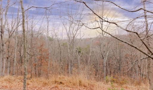 Photo #11 of GALLOWAY SPRING LN, STANLEY, VA 32.0 acres