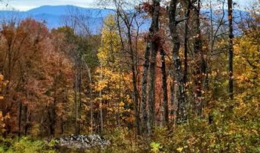 Photo #22 of GALLOWAY SPRING LN, STANLEY, VA 32.0 acres