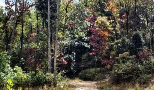 Photo #23 of GALLOWAY SPRING LN, STANLEY, VA 32.0 acres