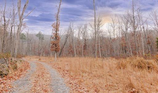Photo #5 of GALLOWAY SPRING LN, STANLEY, VA 32.0 acres