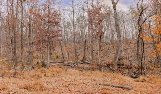 Photo #7 of GALLOWAY SPRING LN, STANLEY, VA 32.0 acres