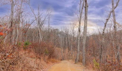 Photo #11 of GALLOWAY SPRING LN, STANLEY, VA 32.0 acres