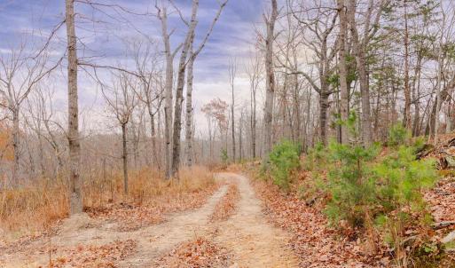 Photo #14 of GALLOWAY SPRING LN, STANLEY, VA 32.0 acres