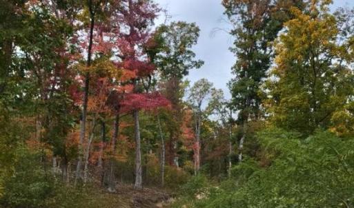 Photo #26 of GALLOWAY SPRING LN, STANLEY, VA 32.0 acres