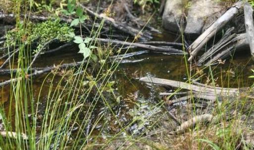 Photo #28 of GALLOWAY SPRING LN, STANLEY, VA 32.0 acres