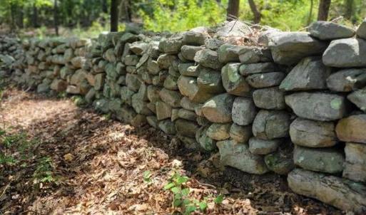 Photo #30 of GALLOWAY SPRING LN, STANLEY, VA 32.0 acres