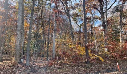 Photo #1 of 616 MT PLEASANT DR, LOCUST GROVE, VA 0.3 acres