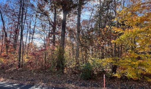 Photo #3 of 616 MT PLEASANT DR, LOCUST GROVE, VA 0.3 acres